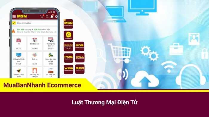 Một website TMĐT cần phải có những Qui định về pháp luật như thế nào?