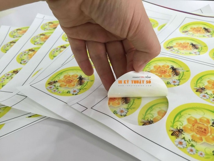 In sticker tròn