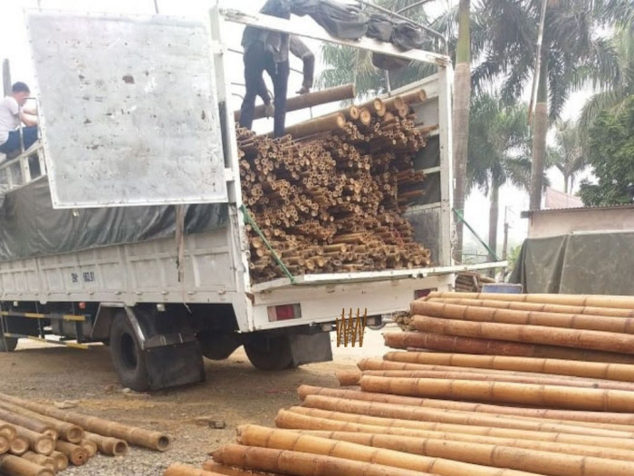 Vựa nguyên liệu tre Tầm Vông - tre Luồng từ vùng nguyên liệu tre được khai thác, đã qua xử lý và chế biến tới công trình - Ảnh: 4