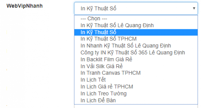 Lựa chọn trang VIPNhanh sẽ hiển thị