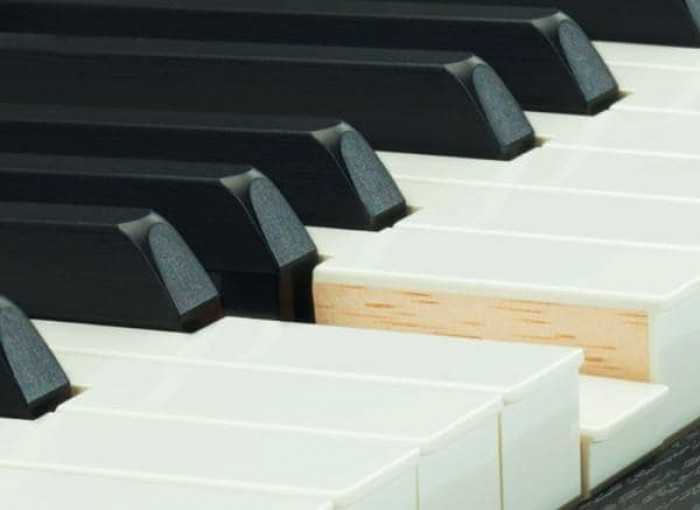 bàn phím đàn piano điện mang lại cảm nhận chân thật