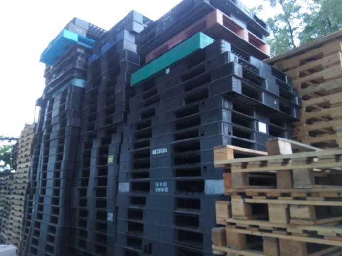 Pallet nhựa cũ Hà Hội