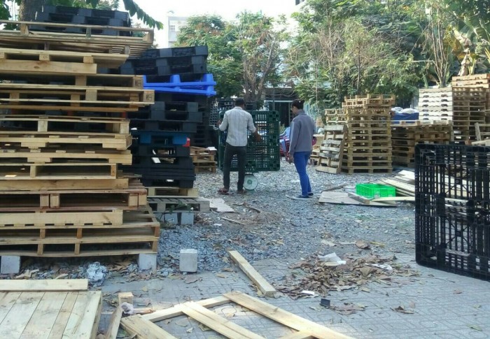 Quan tâm đến các đơn vị bán pallet nhựa cũ TPHCM có kho xưởng pallet nhựa lớn