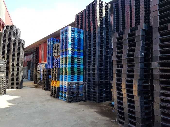 Nhà nhập khẩu, mua bán, phân phối Pallet nhựa mới (nhập khẩu)