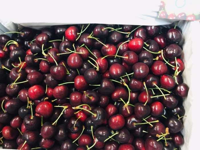 Cherry Úc