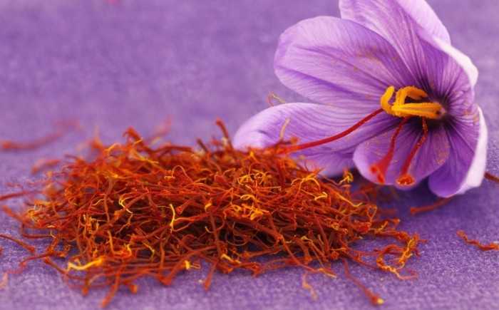 Nhuỵ hoa nghệ tây saffron