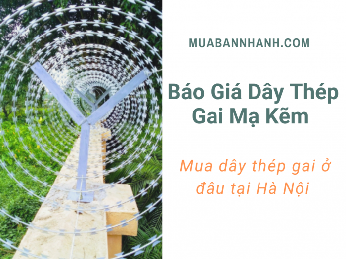 Dây thép gai mạ kẽm trên MuaBanNhanh