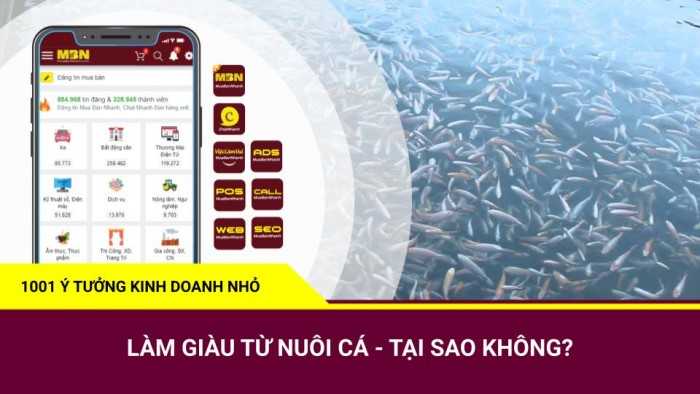 Làm giàu từ nuôi cá - 1001 Ý tưởng kinh doanh nhỏ MuaBanNhanh