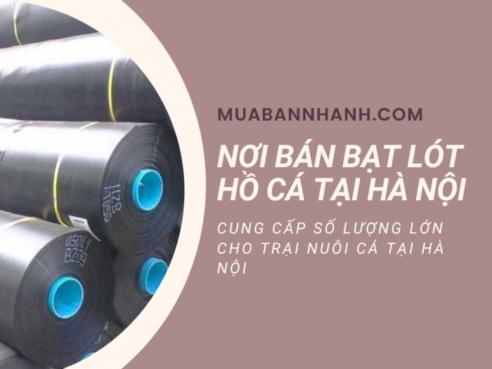 Nơi bán bạt lót hồ cá Hà Nội - MuaBanNhanh