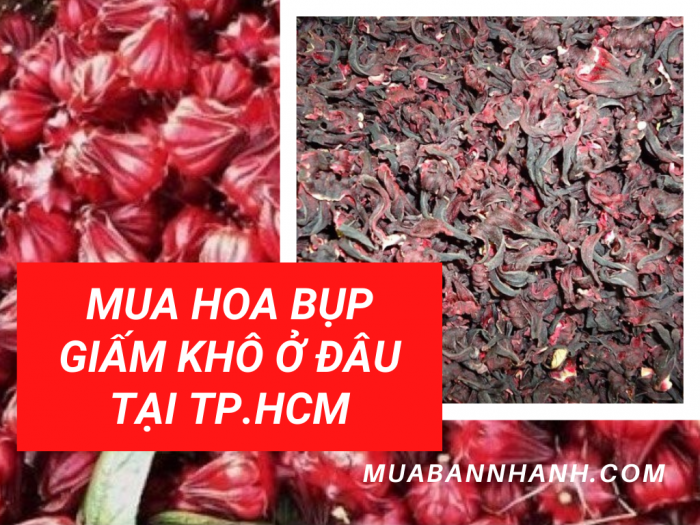 Hoa bụp giấm khô - MuaBanNhanh