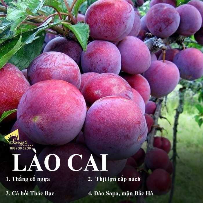 Đặc sản Lào Cai