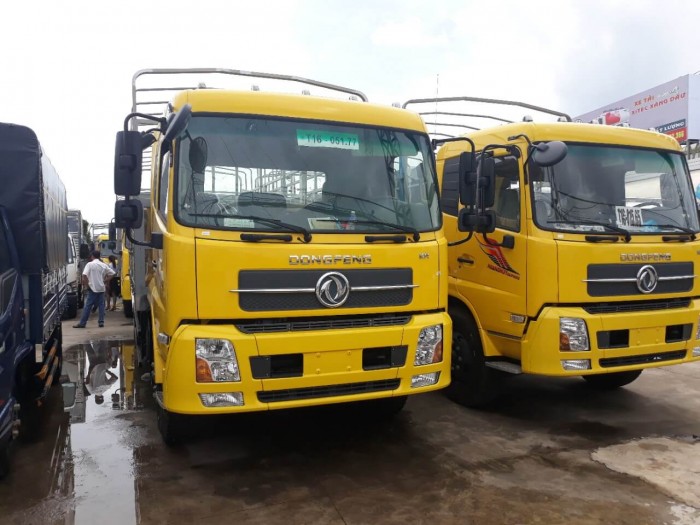 Mua xe tải nhập khẩu nguyên chiếc hay lắp ráp?