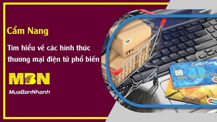 Các hình thức, mô hình kinh doanh thương mại điện tử, ví dụ thực tiển ứng dụng tại Việt Nam